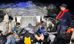 Edirne'de kaçak göçmen operasyonu: 41 yakalama