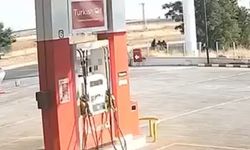 Gaziantep'te alacak meselesi cinayetle sonuçlandı