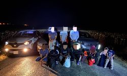 Kaçak göçmenler Edirne'de yakalandı
