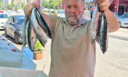 Karadeniz’de palamut bereketi