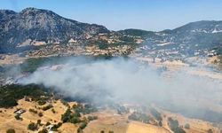Kaş'ta orman yangını