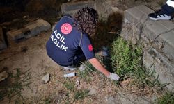 Kazada kopan parmak dakikalarca arandı