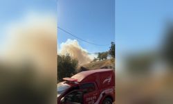 Malatya'da ormanı alevler sardı!
