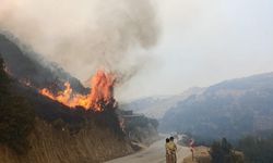 Manisa'da makilik alanda yangın çıktı