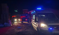 Manisa'da palet fabrikasında çıkan yangın söndürüldü