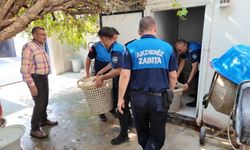 Mersin'de kilolarca bozuk midye dolması ele geçirildi