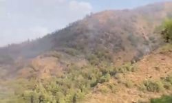 Muğla'da yangının ikinci günü