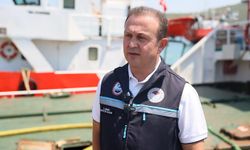 Muğla'dan Dünyaya 'Yavru Balık' Ticareti