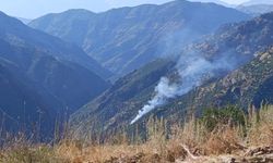 Munzur Vadisi Milli Parkı'nda yangın!