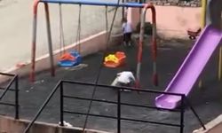 Parkı Temizlediler, Sonra Oyuna Devam Ettiler