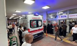 Şanlıurfa'da otomobil kazası can aldı!