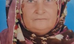 Sumak toplamak için gittiği arazide cansız bedenine ulaşıldı