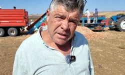 Tekirdağ soğanında hasat başladı
