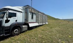 TIR dorsesi mobil bal üretim tesisi oldu