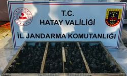 Traktörün römorkunda 2 bin bini aşkın saka aele geçirildi