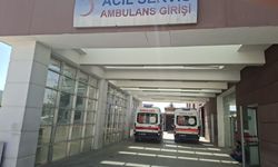 Adıyaman'da tütün yüklü traktörün römorku devrildi