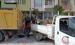 Amasya'da Kötü Koku Gelen Evden 1 Ton Atık Çıktı
