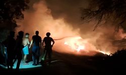 Antalya'da ormanı alevler sardı: evler ve seralar yandı!