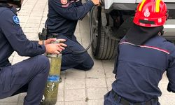 Avcılar'da cipte sıkışan kedi kurtarıldı