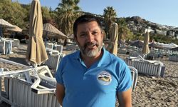 Bodrum’da 62 caretta caretta yavrusu denize ulaştı