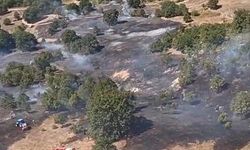 Bursa’da anız yangını paniği
