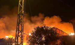 Çorum'da 3 ev ve 3 ahırı alevler sardı!