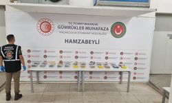 Edirne'de Gümrük Kapılarında Kilolarca Uyuşturucu Ele Geçirildi