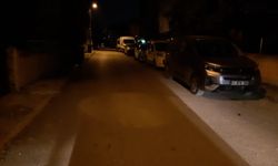 Eski eşinin tabancayla vurarak öldürdü