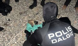Gölette Mahsur Kalan Yavru Köpek Kurtarıldı