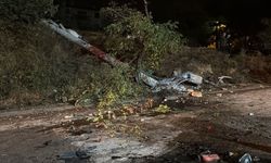 Karabük'te minibüs ağaca çarparak durdu