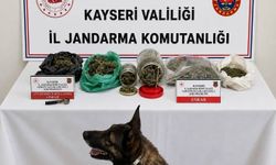 Kayseri'de 1,2 kilo esrar ele geçirildi