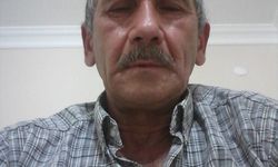 Kesilen ağacın dalının çarptığı işçi hayatını kaybetti