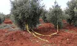 Kilis'te traktörden düşen çiftçi kurtarılamadı