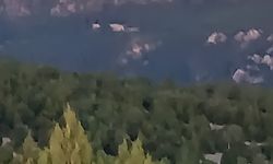 Kütahya'da ormanı alevler sardı!