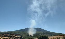 Mihalıççık'ta orman yangını