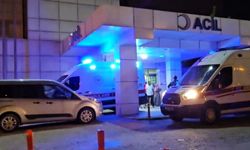 Sapanca'da tartıştığı annesini tabancayla öldürdü
