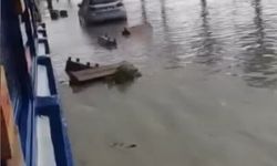 Sinop'ta sağanak yağış etkili oldu