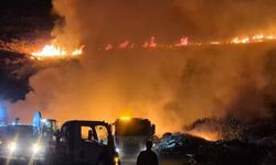 Bodrum’da makilik alandaki yangın kontrol altına alındı