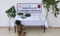 Eskişehir'de uyuşturucu operasyonu: 1 tutuklama