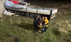 Kontrolünü yitiren TIR tarlaya girdi