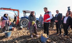 Niğde’de Yerli Patates Hasadı! Üç Özel Çeşit Toprakla Buluştu