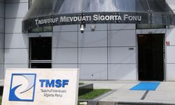 Tera Yatırım Teknoloji Holding’e TMSF Kayyumu Atandı