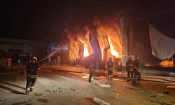 Adana'da sebze halinde yandı