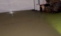 Arnavutköy'de su basan dairedeki mahsur kalan kediler kurtarıldı