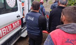 Artvin'de uçuruma yuvarlanan otomobilin sürücüsü hayatını kaybetti