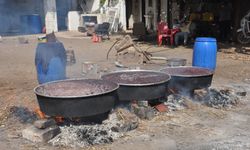 Gaziantep'te Pekmez Mesaisi Başladı