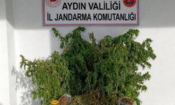 İncirliova'da Uyuşturucu Operasyonu