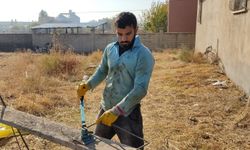 İnşaat İşçiliğinden Dünya İkinciliğine: Ahmet Ertekin’in Başarı Hikayesi