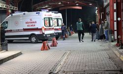 İzmir'de kavga ettiği kişinin kulağını ısırarak kopardı