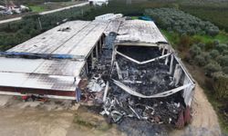 İznik'te Soğuk Hava Deposu Alev Alev Yandı: Küle Dönen Tesis Dronla Görüntülendi